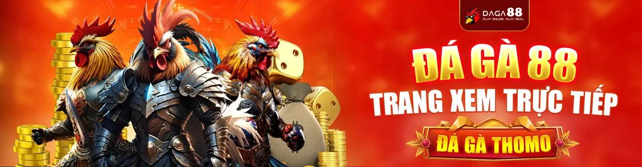 Đá gà trực tuyến ZH88 – Sân đấu kịch tính