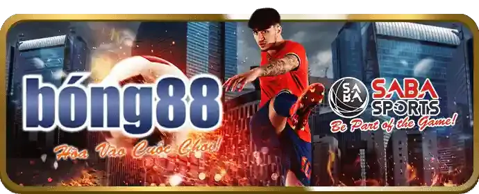Cách Chơi Cá Cược Thể Thao An Toàn Tại zh88 trang chủ